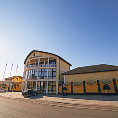 Отель Leo Palace, Черноморское, Крым