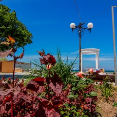 Отель Leo Palace, Черноморское, Крым