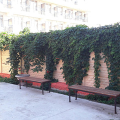 Санаторий Маяк, Анапа, Краснодарский край