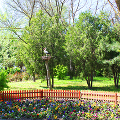 Санаторий Маяк, Анапа, Краснодарский край