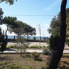 Санаторий Маяк, Анапа, Краснодарский край