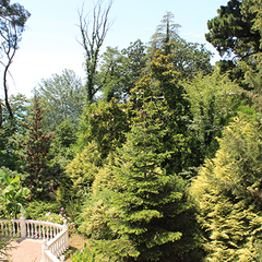 Санаторий Чемитоквадже, Лазаревское, Краснодарский край