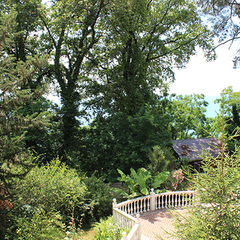 Санаторий Чемитоквадже, Лазаревское, Краснодарский край