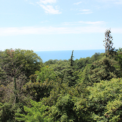 Санаторий Чемитоквадже, Лазаревское, Краснодарский край