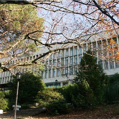 Санаторий Чемитоквадже, Лазаревское, Краснодарский край