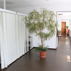 Санаторий Чемитоквадже, Лазаревское, Краснодарский край