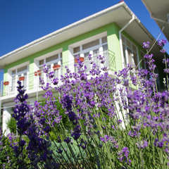 Отель Коктевилль, Коктебель, Крым