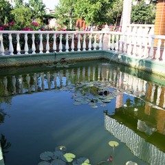 База отдыха Альтернатива, Береговое, Крым