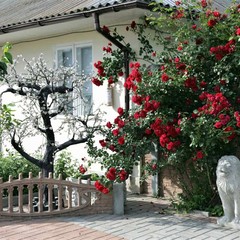 База отдыха Альтернатива, Береговое, Крым