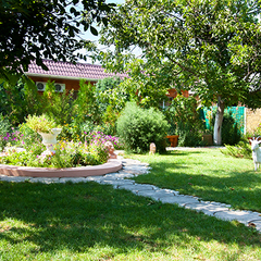 База отдыха Альтернатива, Береговое, Крым