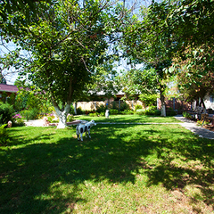 База отдыха Альтернатива, Береговое, Крым