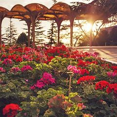 Оздоровительный комплекс Спутник, Гурзуф, Крым