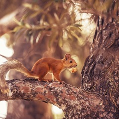 Оздоровительный комплекс Спутник, Гурзуф, Крым