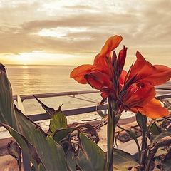 Оздоровительный комплекс Спутник, Гурзуф, Крым