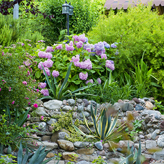 Отель Ламоре, Сочи, Краснодарский край