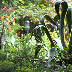 Отель Ламоре, Сочи, Краснодарский край