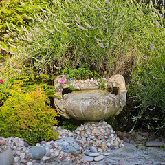 Отель Ламоре, Сочи, Краснодарский край