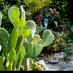 Отель Ламоре, Сочи, Краснодарский край