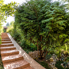 Отель Ламоре, Сочи, Краснодарский край