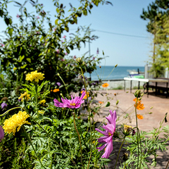 Отель Ламоре, Сочи, Краснодарский край