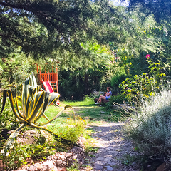 Отель Ламоре, Сочи, Краснодарский край