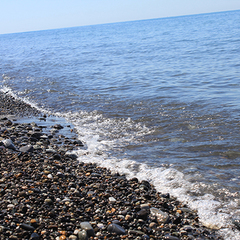 Отель Ламоре, Сочи, Краснодарский край