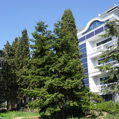 Гостевой дом Приморский парк, Алушта, Крым