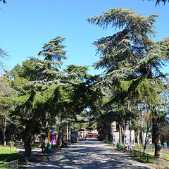 Гостевой дом Приморский парк, Алушта, Крым