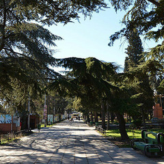 Гостевой дом Приморский парк, Алушта, Крым