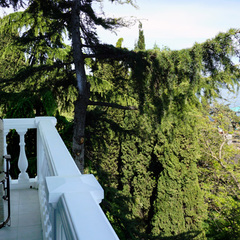 Гостевой дом Приморский парк, Алушта, Крым