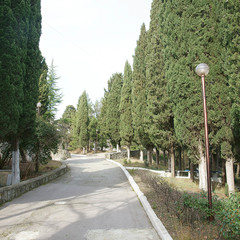 Пансионат Дом творчества писателей им.А.П.Чехова, Ялта, Крым