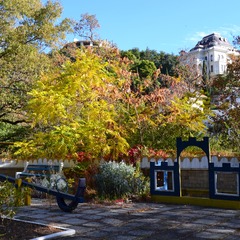 Пансионат Дом творчества писателей им.А.П.Чехова, Ялта, Крым