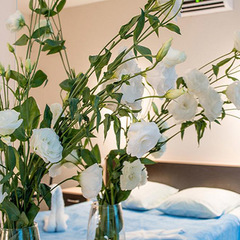 Гостиница Cristal, Коктебель, Крым