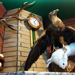 Гостиница Гавань, Владивосток, Приморский край