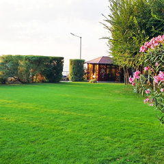 Апарт-отель Вязовая Роща, Крым