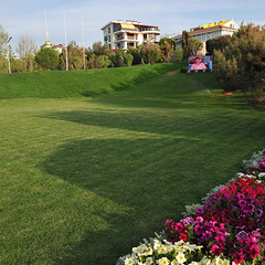 Апарт-отель Вязовая Роща, Крым