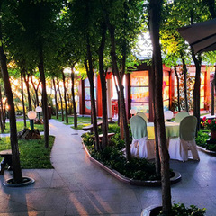 Апарт-отель Вязовая Роща, Крым