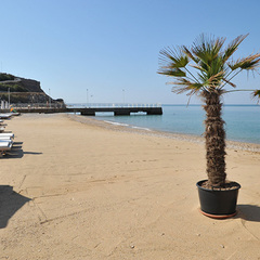 Апарт-отель Вязовая Роща, Крым