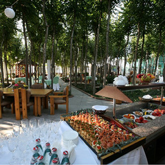 Апарт-отель Вязовая Роща, Крым