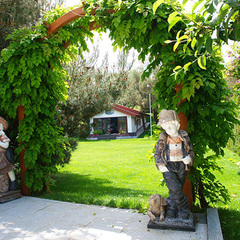 Апарт-отель Вязовая Роща, Крым