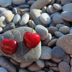 Вилла Отрадное вилла, Отрадное, Крым