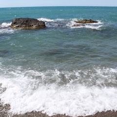 Вилла Отрадное вилла, Отрадное, Крым