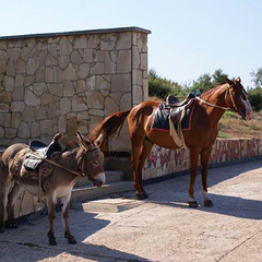 Пансионат У Лукоморья, Песчаное, Крым
