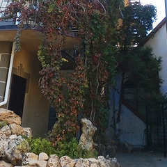 Отель Чайка, Прибрежное, Крым