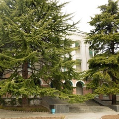 Центр отдыха Профессорский уголок, Алушта, Крым