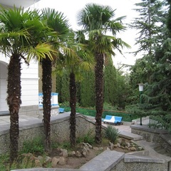Центр отдыха Профессорский уголок, Алушта, Крым