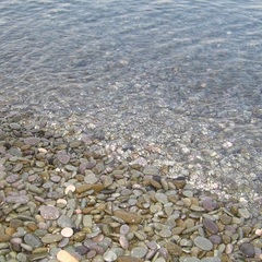 Центр отдыха Профессорский уголок, Алушта, Крым