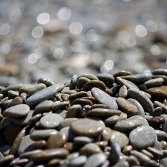 Центр отдыха Профессорский уголок, Алушта, Крым