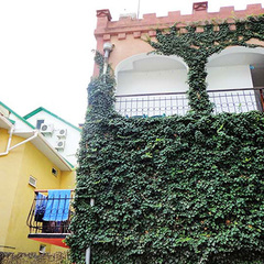 Отель Гамачок у моря, Крым