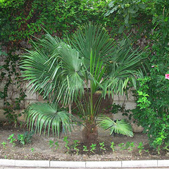 Отель Гамачок у моря, Крым